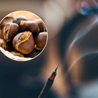 Roasted Chestnut Incense 25 Pack